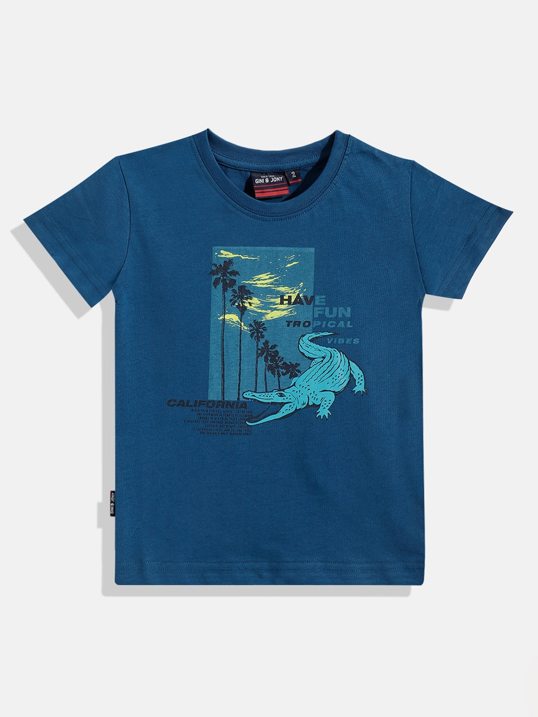 

Gini and Jony Boys Teal Blue & Yellow Graphic Print Cotton T-shirt