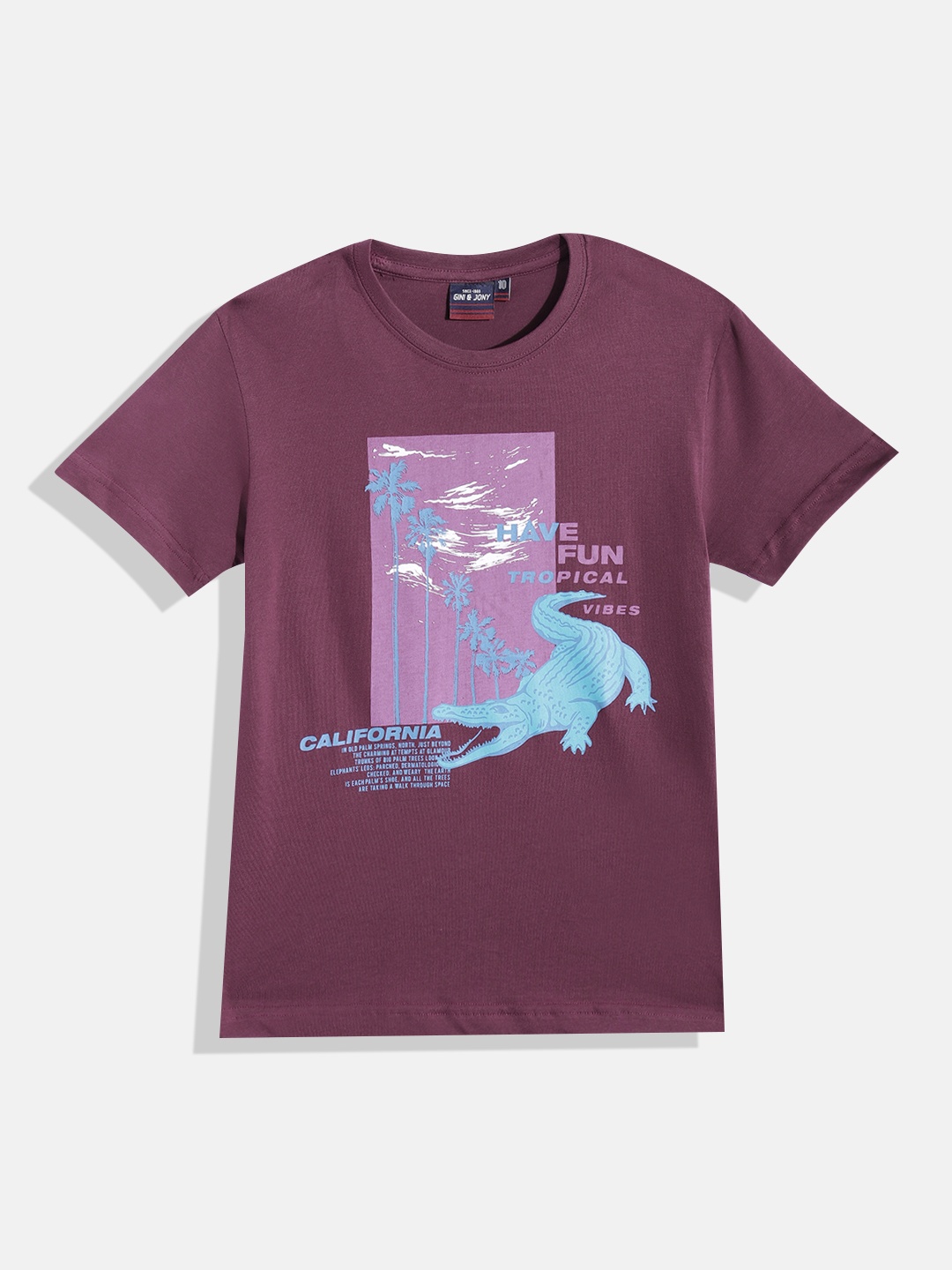 

Gini and Jony Boys Printed Pure Cotton T-shirt, Purple