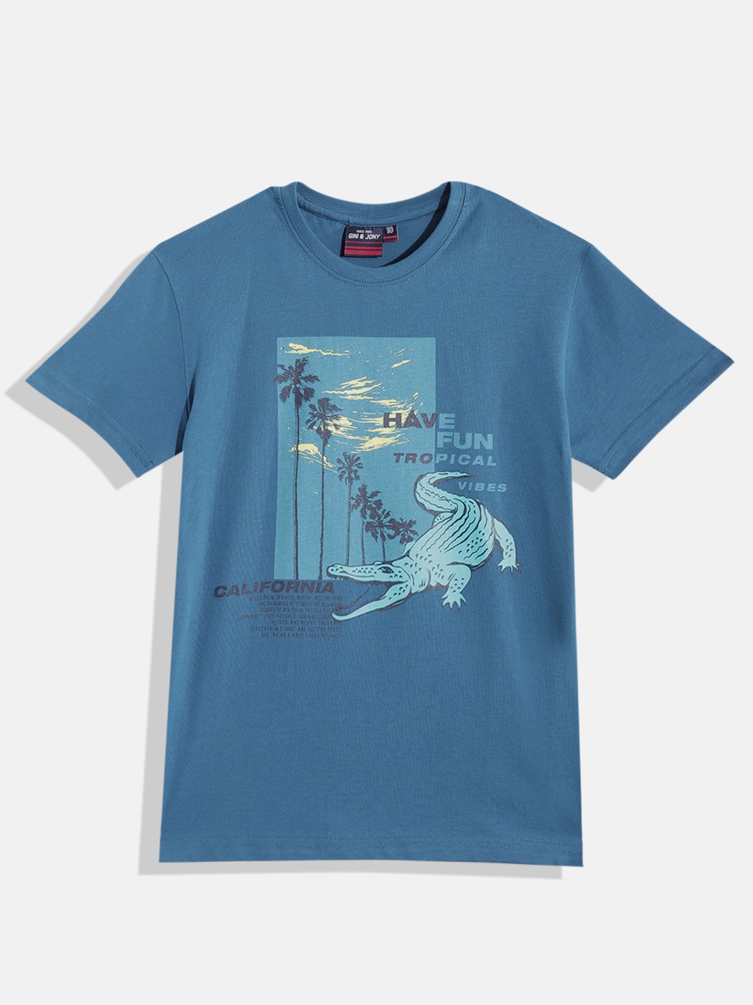 

Gini and Jony Boys Printed Pure Cotton T-shirt, Blue