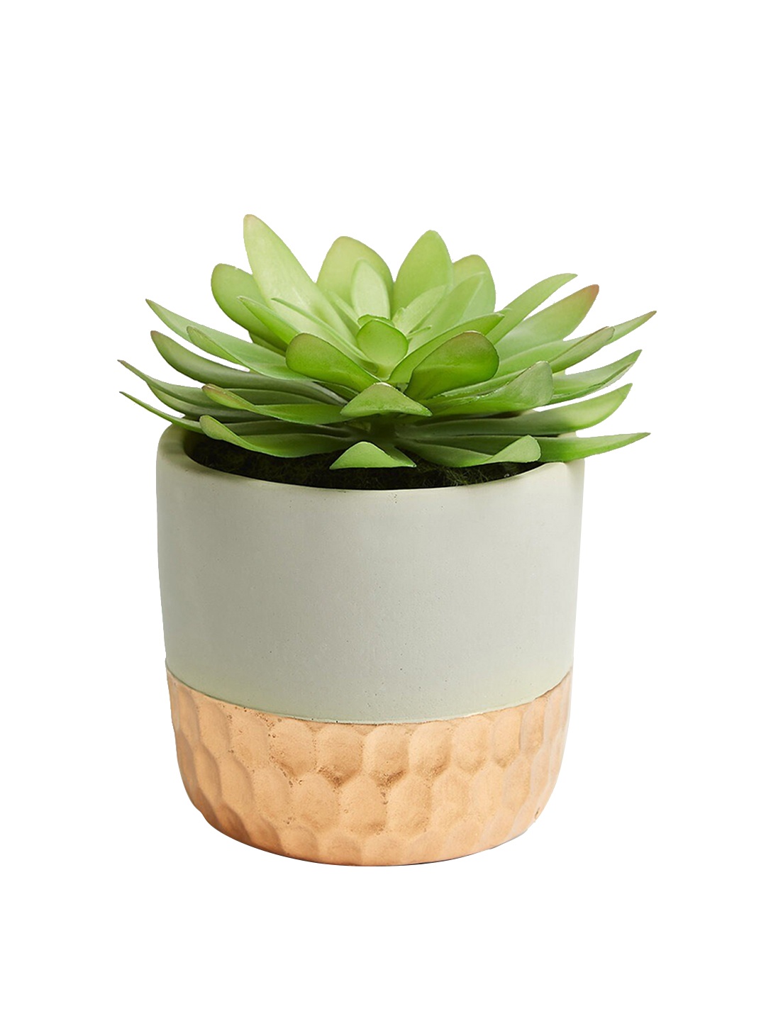 

Marks & Spencer Green & White Artificial Plants With Pot