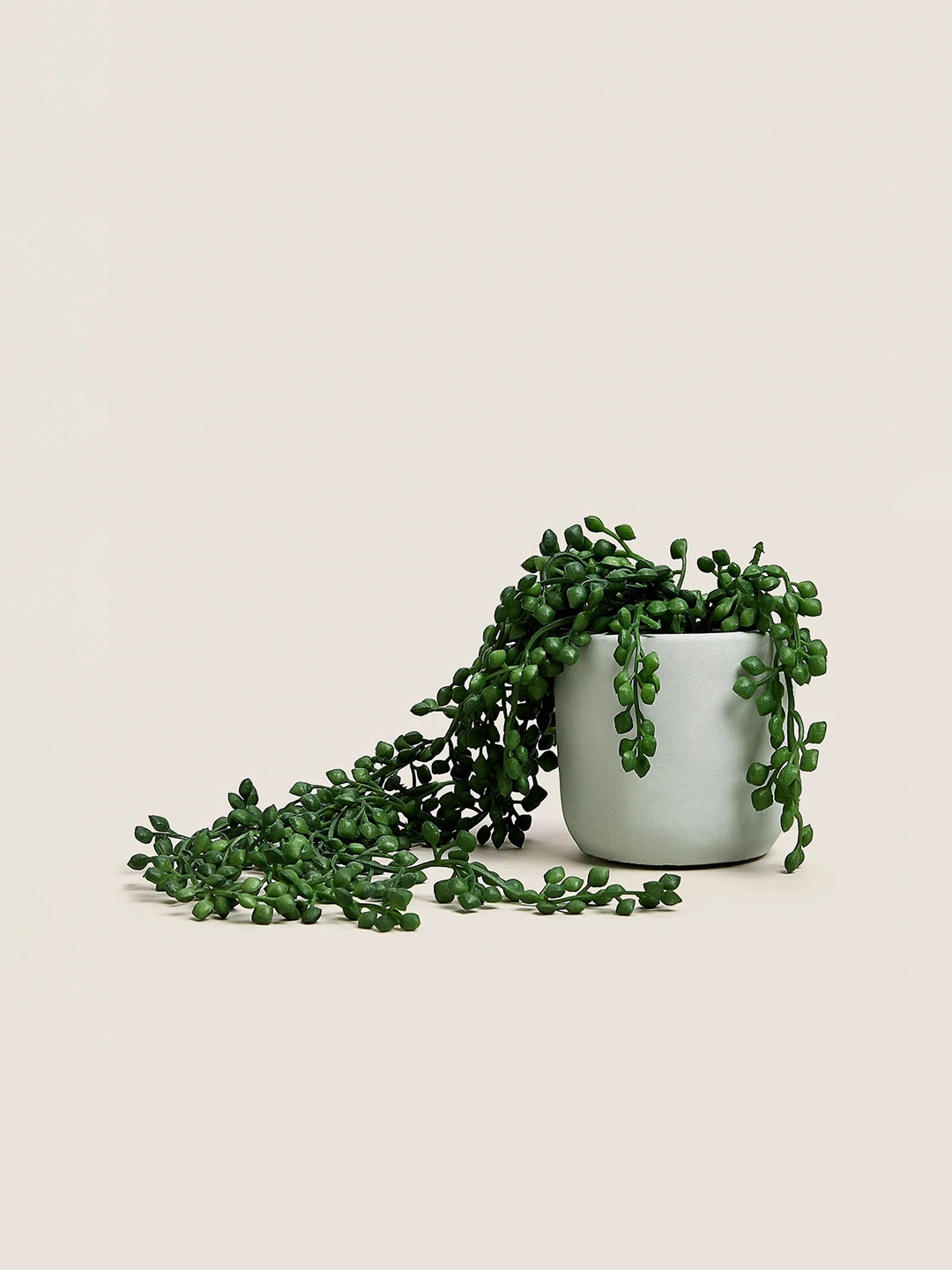 

Marks & Spencer Green & White Artificial Plants With Pot