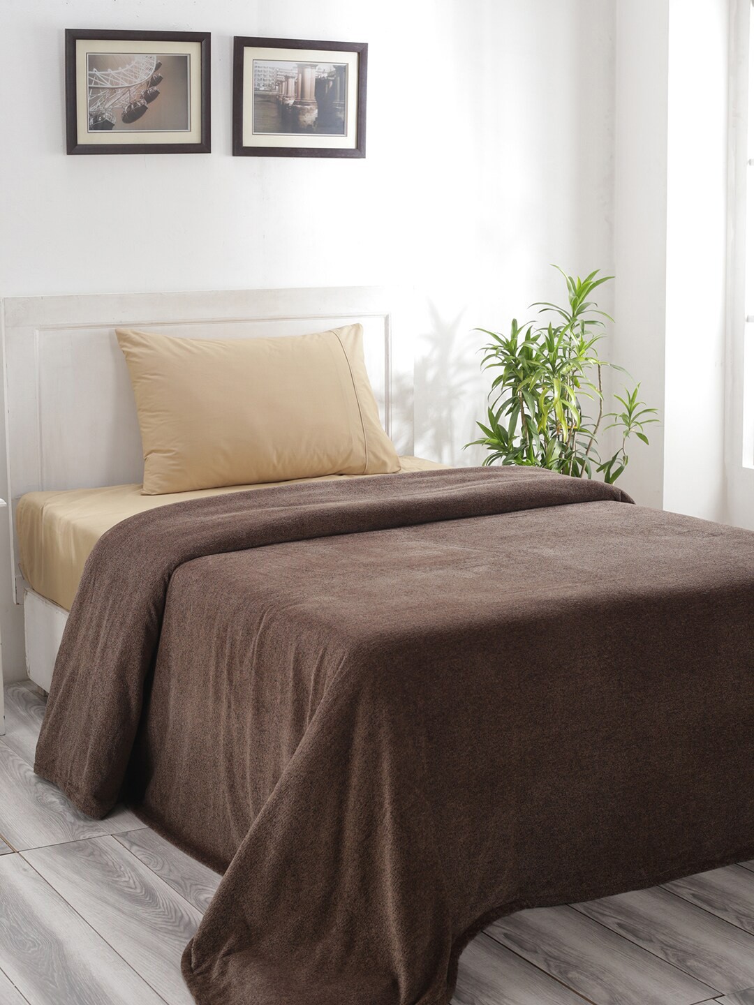 

MASPAR Brown Solid 310 GSM Cotton Single Bed Cover