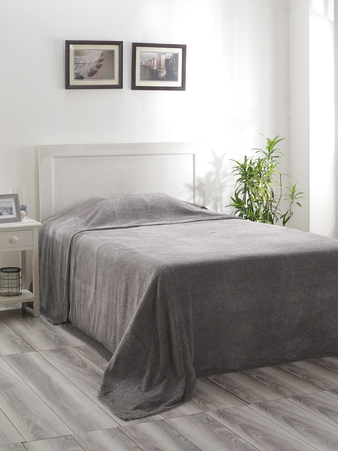 

MASPAR Grey Solid 310 GSM Single Bed Cover