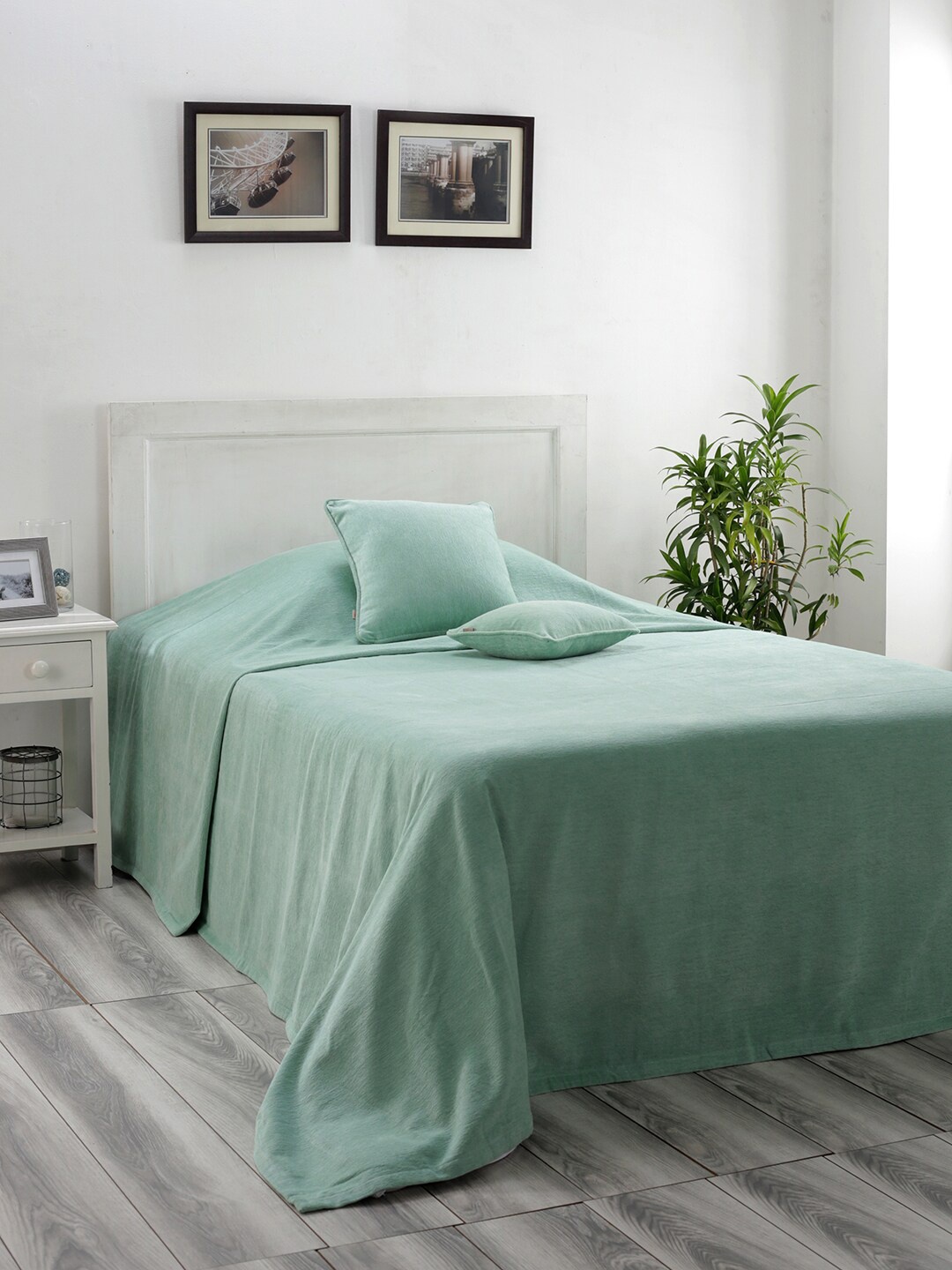 

Maspar Colorart Jessica Green 310 GSM Single Bed Cover