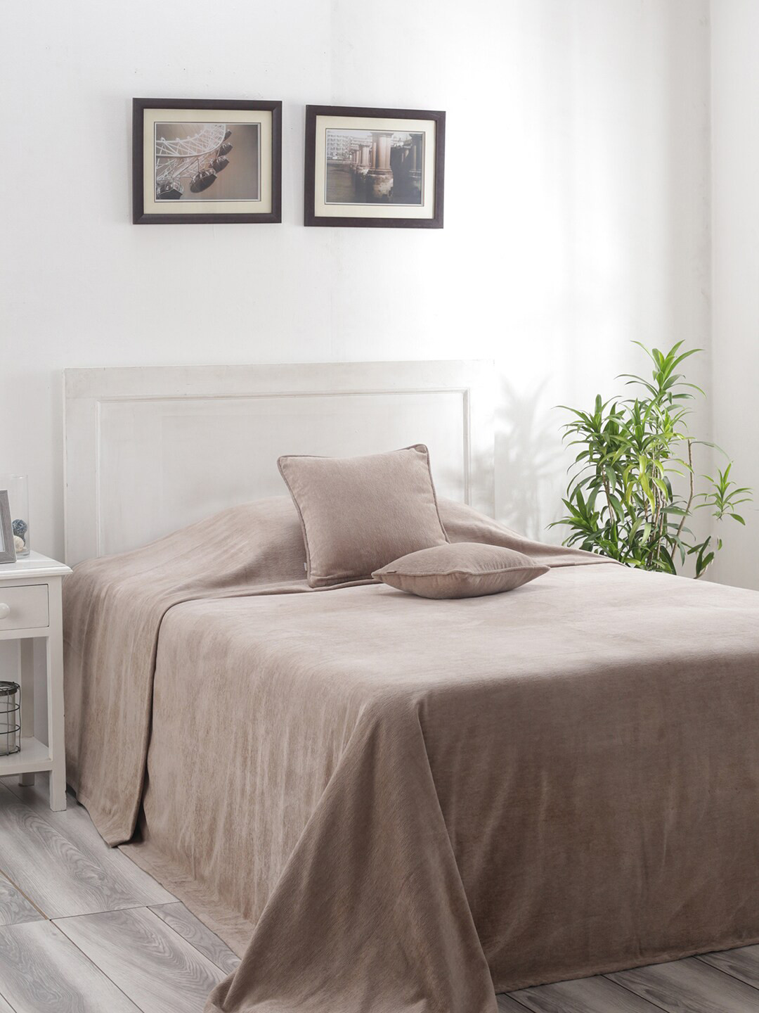 

MASPAR Beige Solid 310 GSM Pure Cotton Single Bed Cover