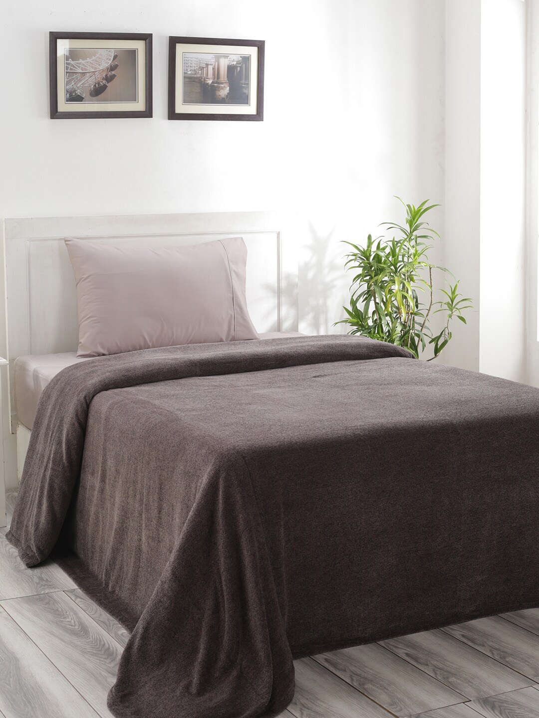 

MASPAR Grey Colorart Charlotte 310 GSM Cotton Single Bed Cover