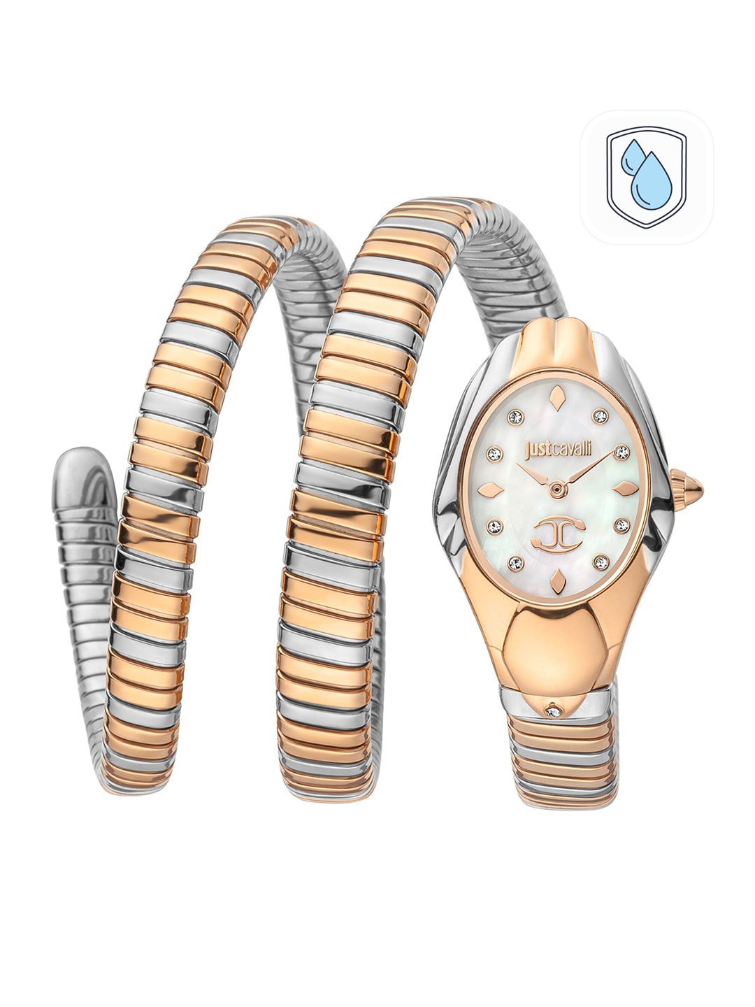 

Just Cavalli Women White Brass Dial & Multicoloured Bracelet Analogue Watch JC1L184M0045, Gold