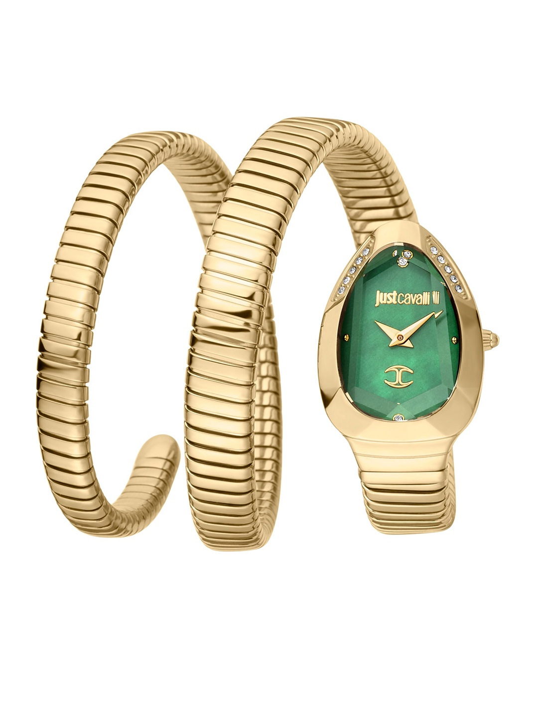 

Just Cavalli Women Green Brass Wrap Around Straps Analogue Watch JC1L209M0045