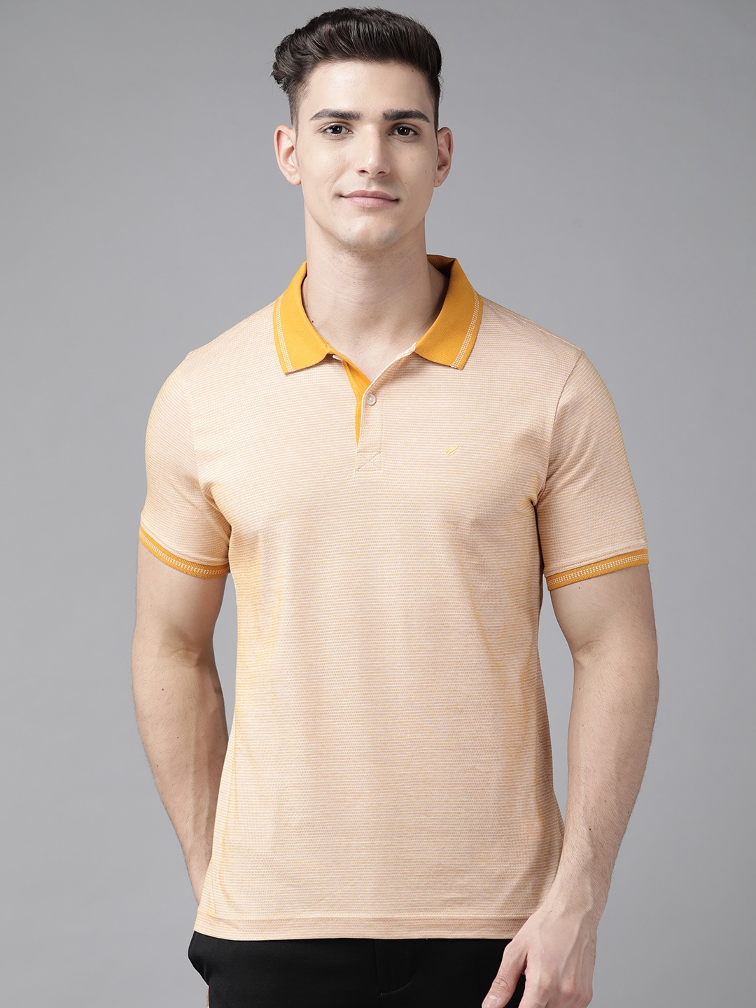 

Blackberrys Men Mustard Yellow & White Striped Polo Collar Pure Cotton Slim Fit T-shirt