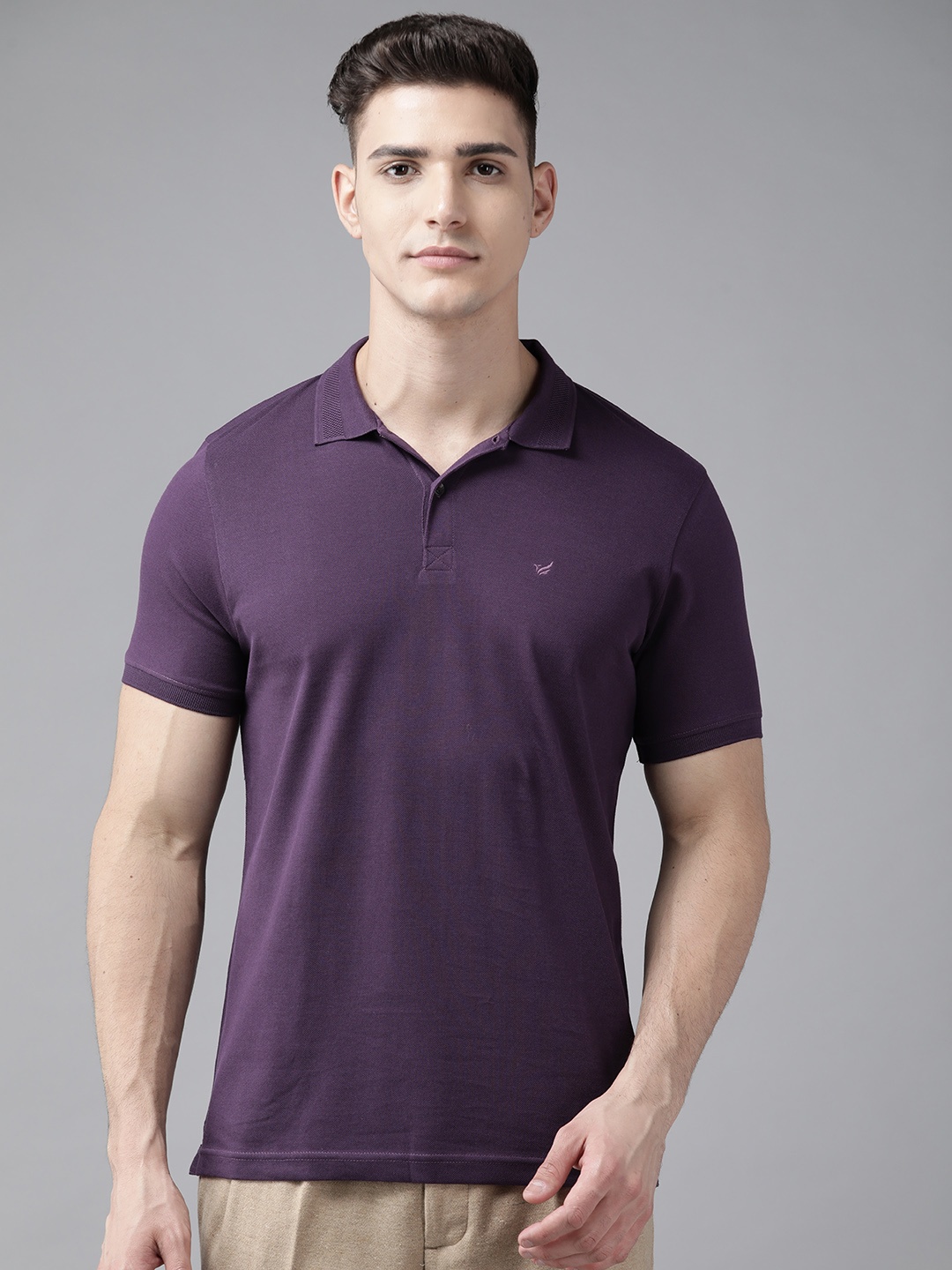 

Blackberrys Men Purple Polo Collar Pure Cotton Slim Fit T-shirt