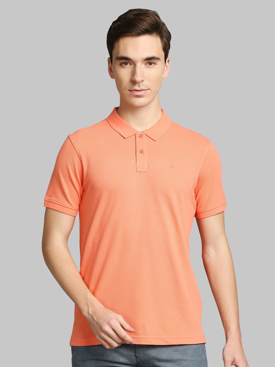 

Parx Men Orange Polo Collar Cotton Regular Fit T-shirt