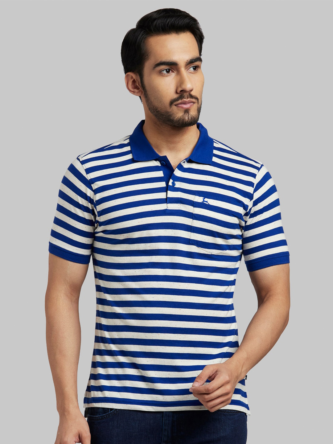 

Parx Men Blue & White Striped Polo Collar T-shirt