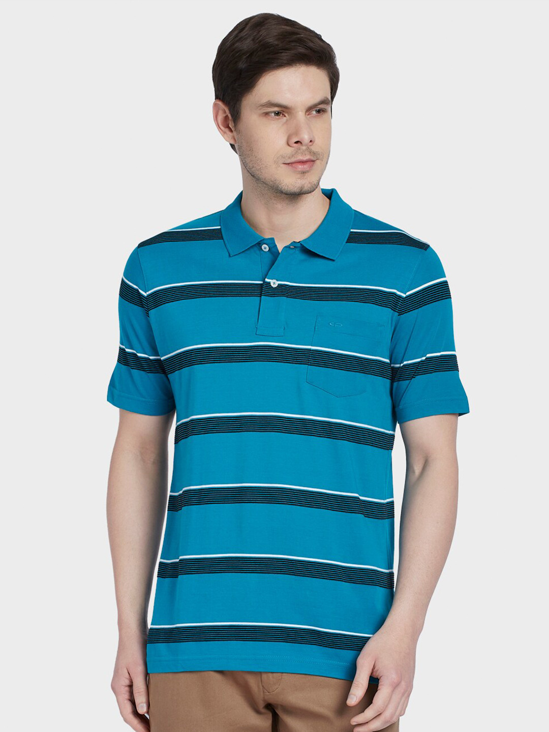 

ColorPlus Men Blue Striped Cotton Polo Collar T-shirt