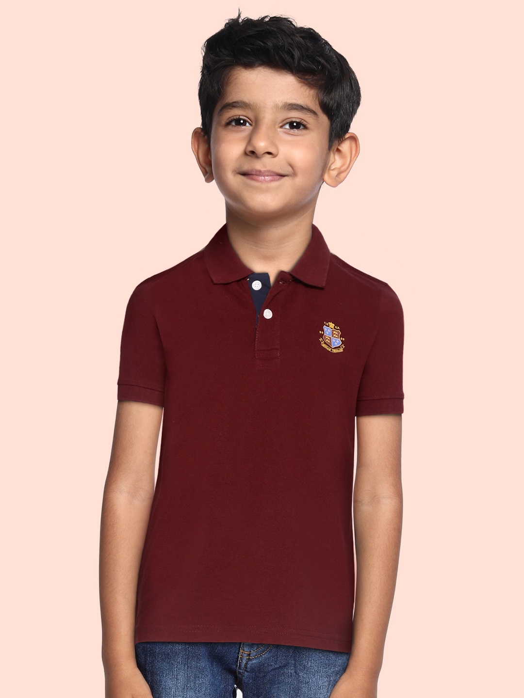 

Indian Terrain Boys Maroon Solid Anti-Static Polo Collar T-shirt