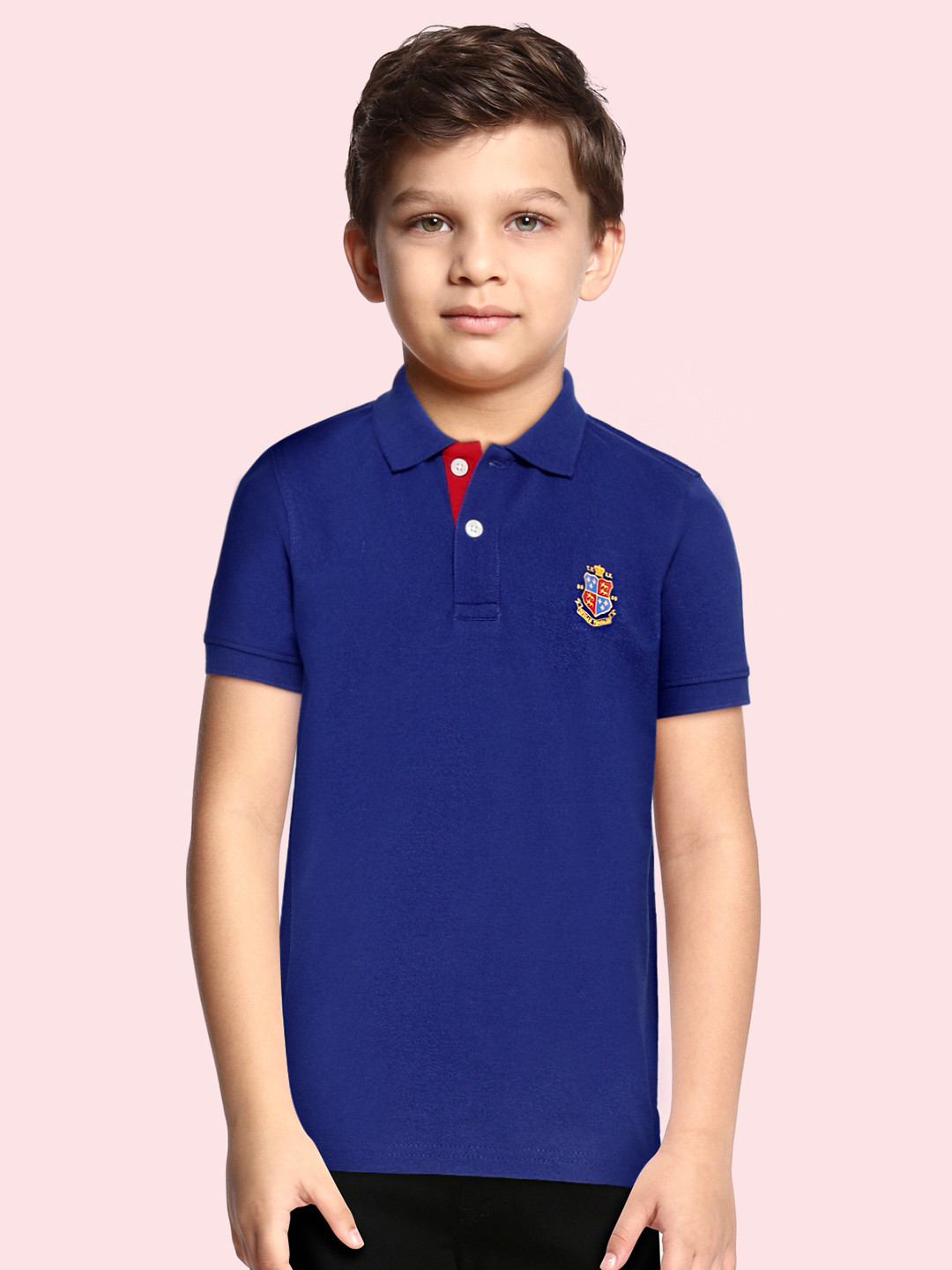 

Indian Terrain Boys Blue Solid Anti-Static Polo Collar T-shirt