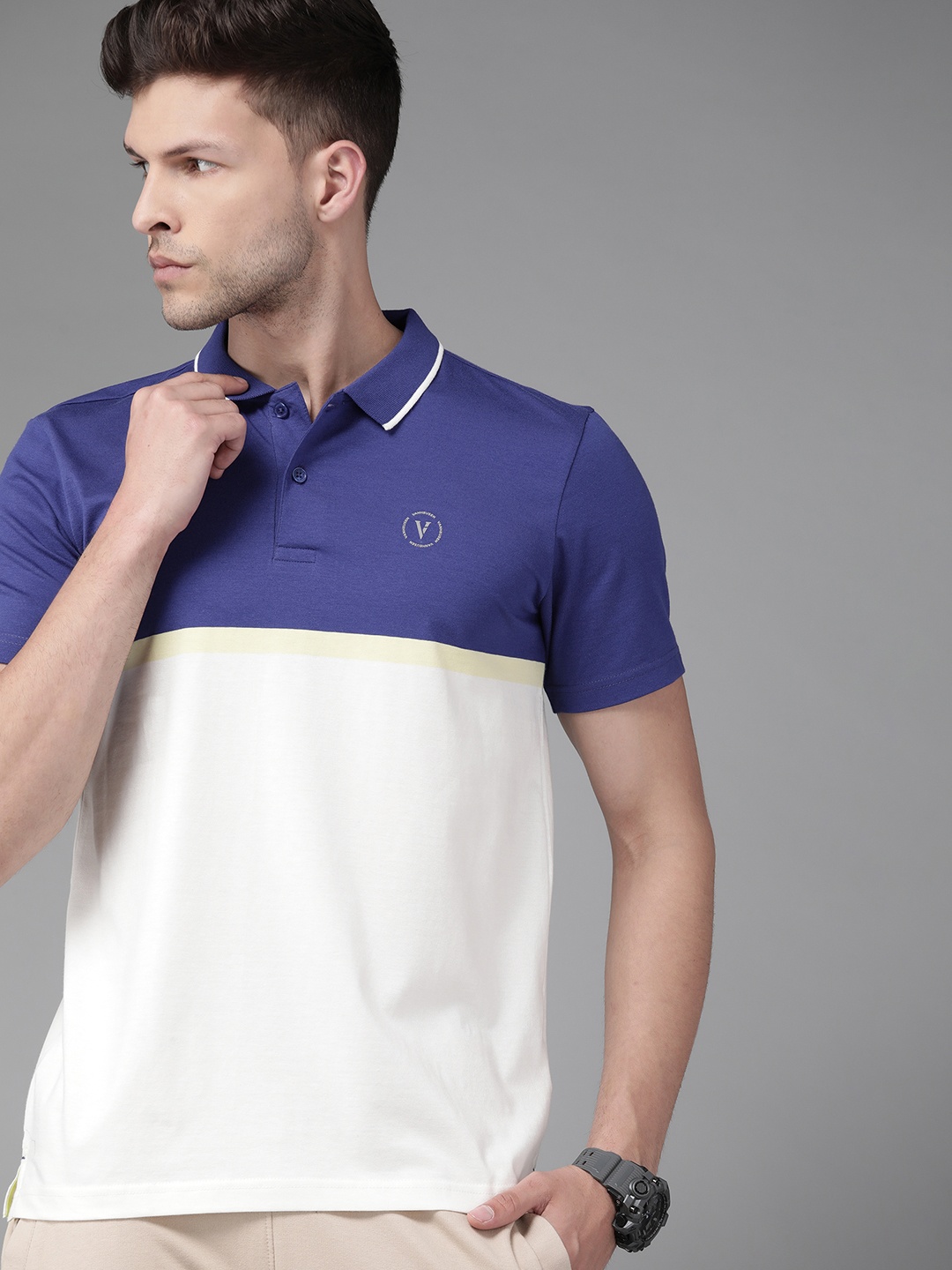 

Van Heusen Flex Men Blue & White Colourblocked Polo Collar Active Fit T-shirt