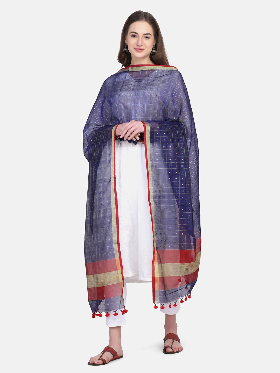 

THE WEAVE TRAVELLER Blue & Red Woven Design Dupatta