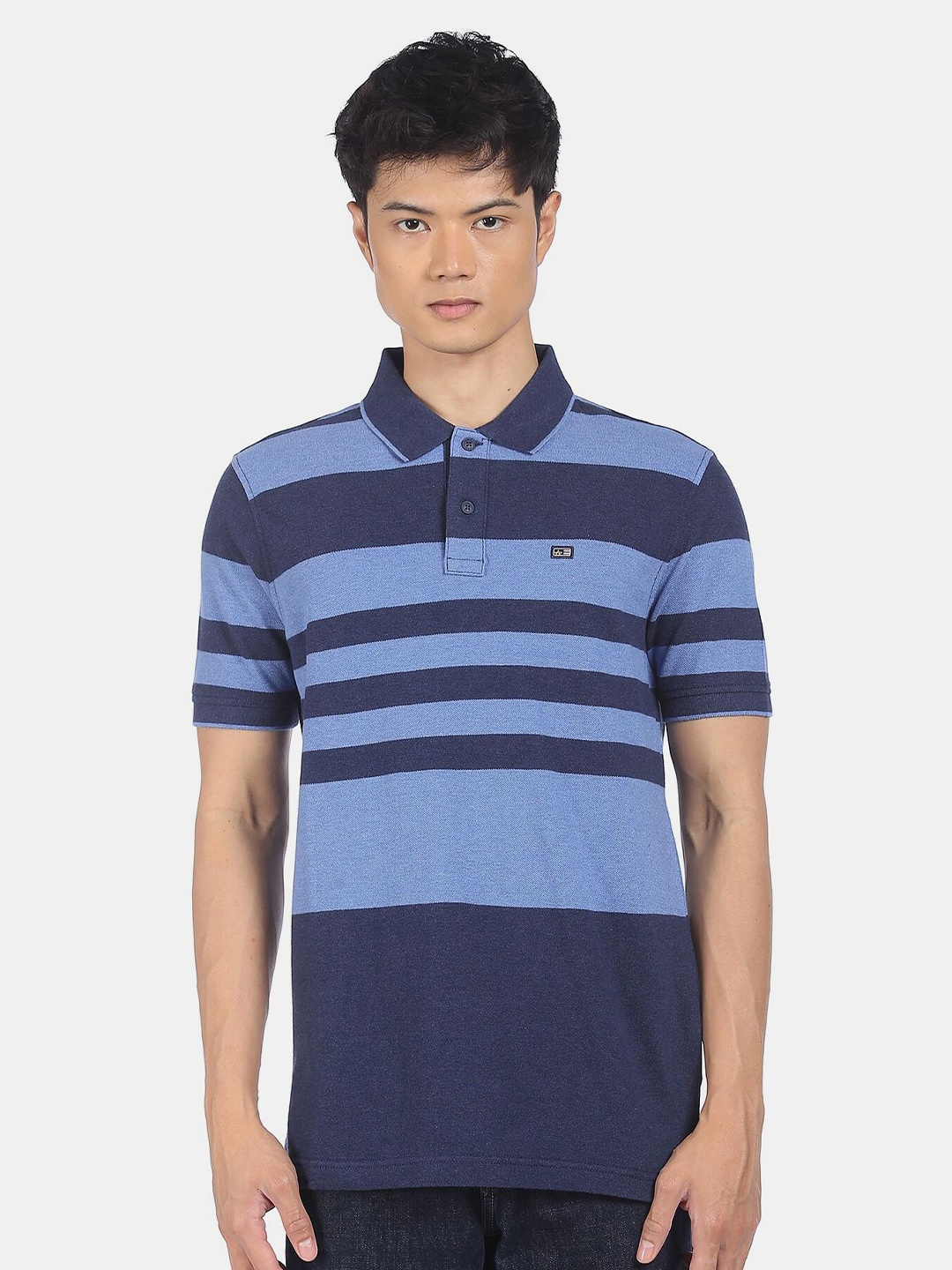 

Arrow Men Blue Striped Polo Collar Cotton T-shirt