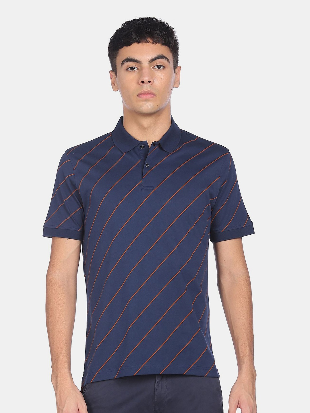 

Arrow Men Blue Striped Polo Collar T-shirt