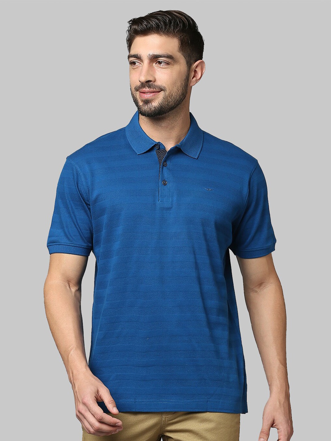 

Park Avenue Men Blue Striped Polo Collar Slim Fit T-shirt