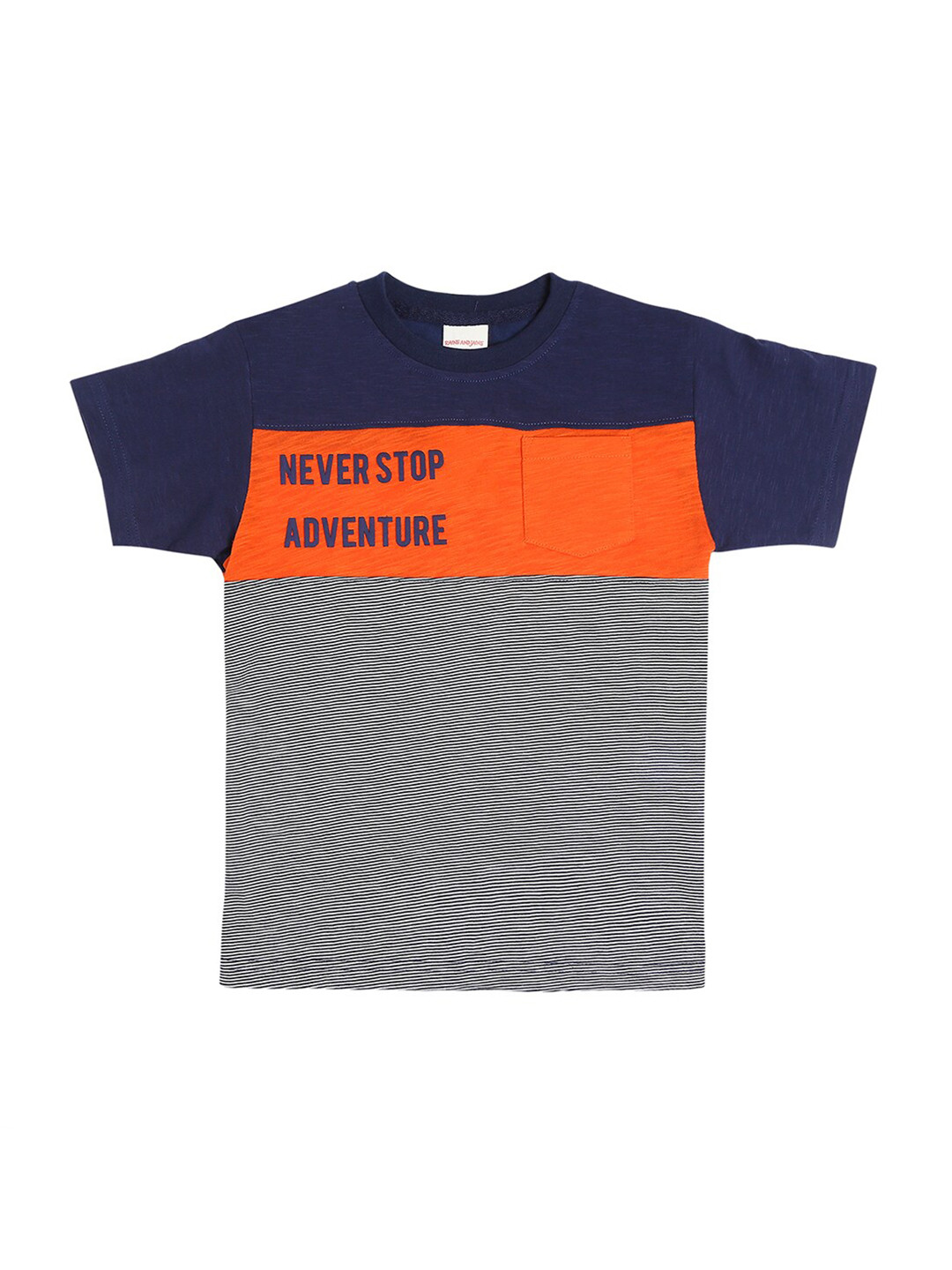 

RAINE AND JAINE Boys Blue Colourblocked Pure Cotton Applique T-shirt