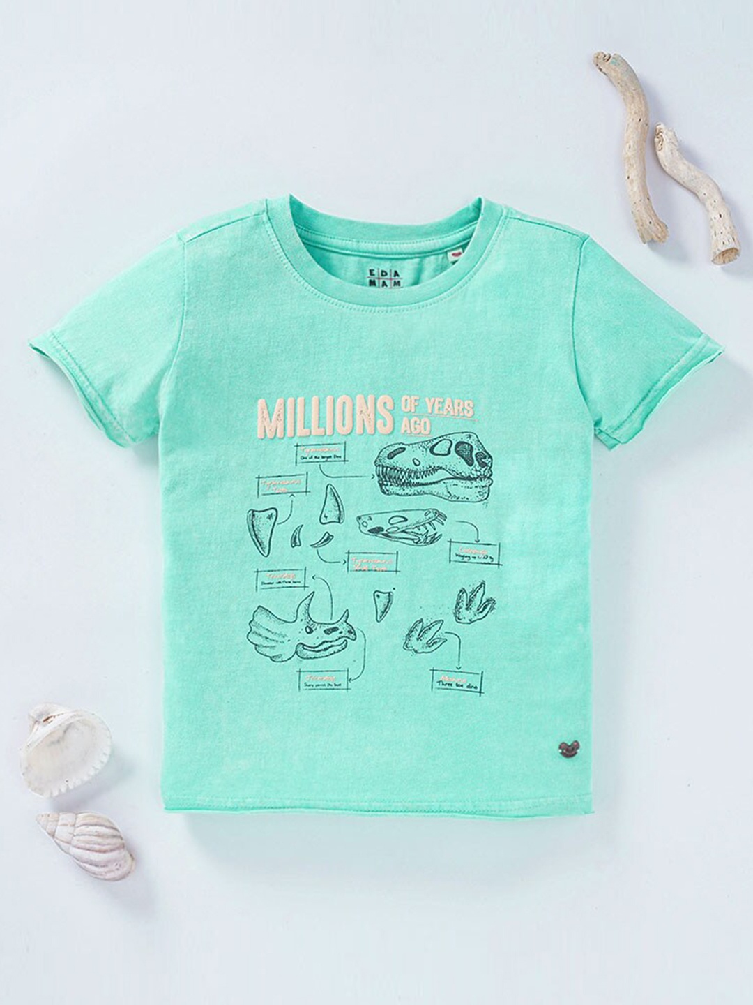 

Ed-a-Mamma Boys Blue Printed Cotton T-shirt