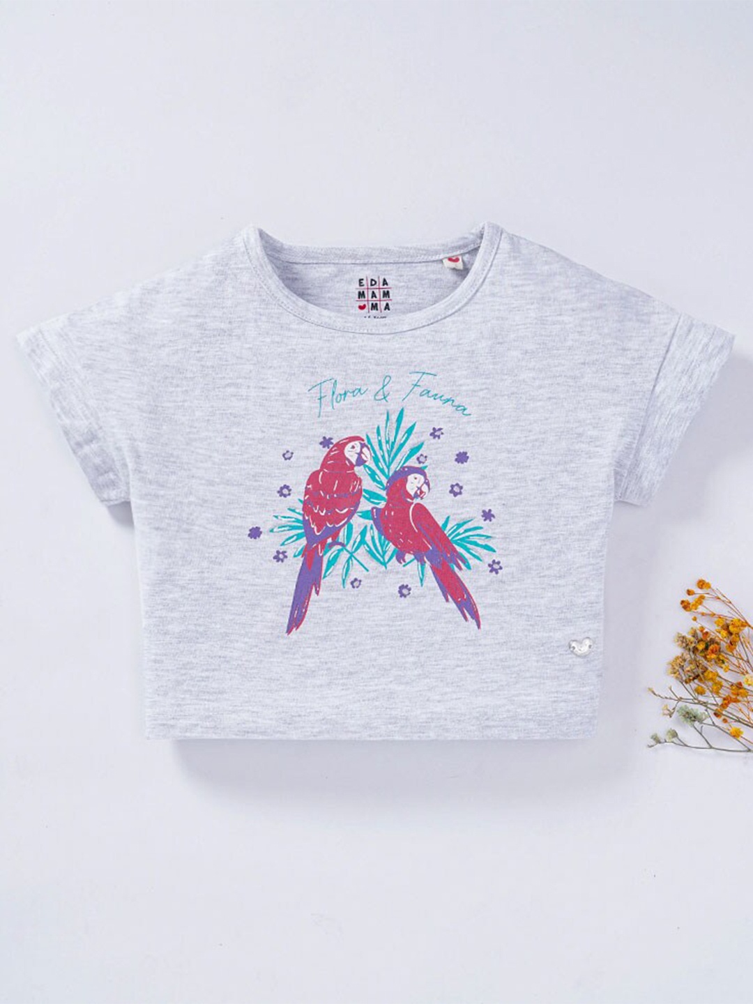 

Ed-a-Mamma Girls Grey Printed Cap Sleeves Crop T-shirt
