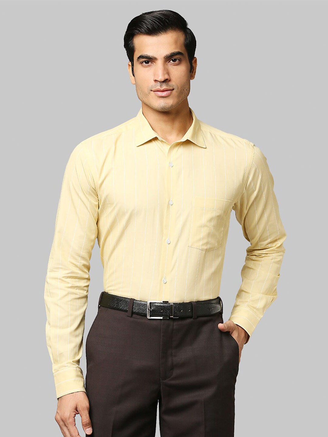 

Park Avenue Men Beige Slim Fit Striped Formal Shirt