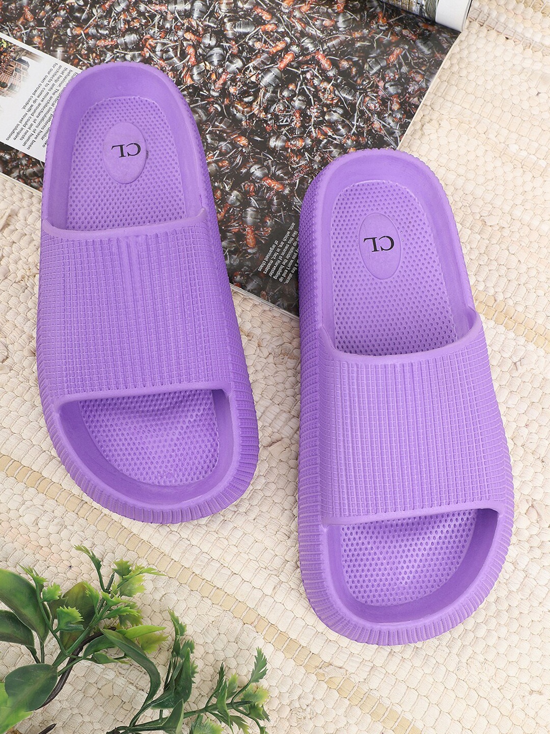 

Carlton London Women Purple Textured Sliders