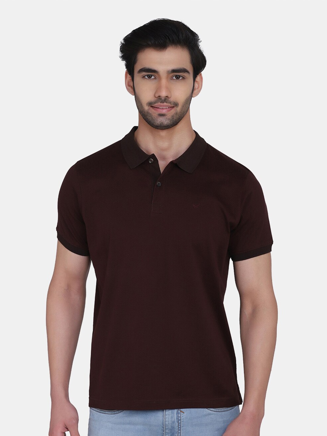 

Blackberrys Men Brown Polo Collar Slim Fit Cotton T-shirt