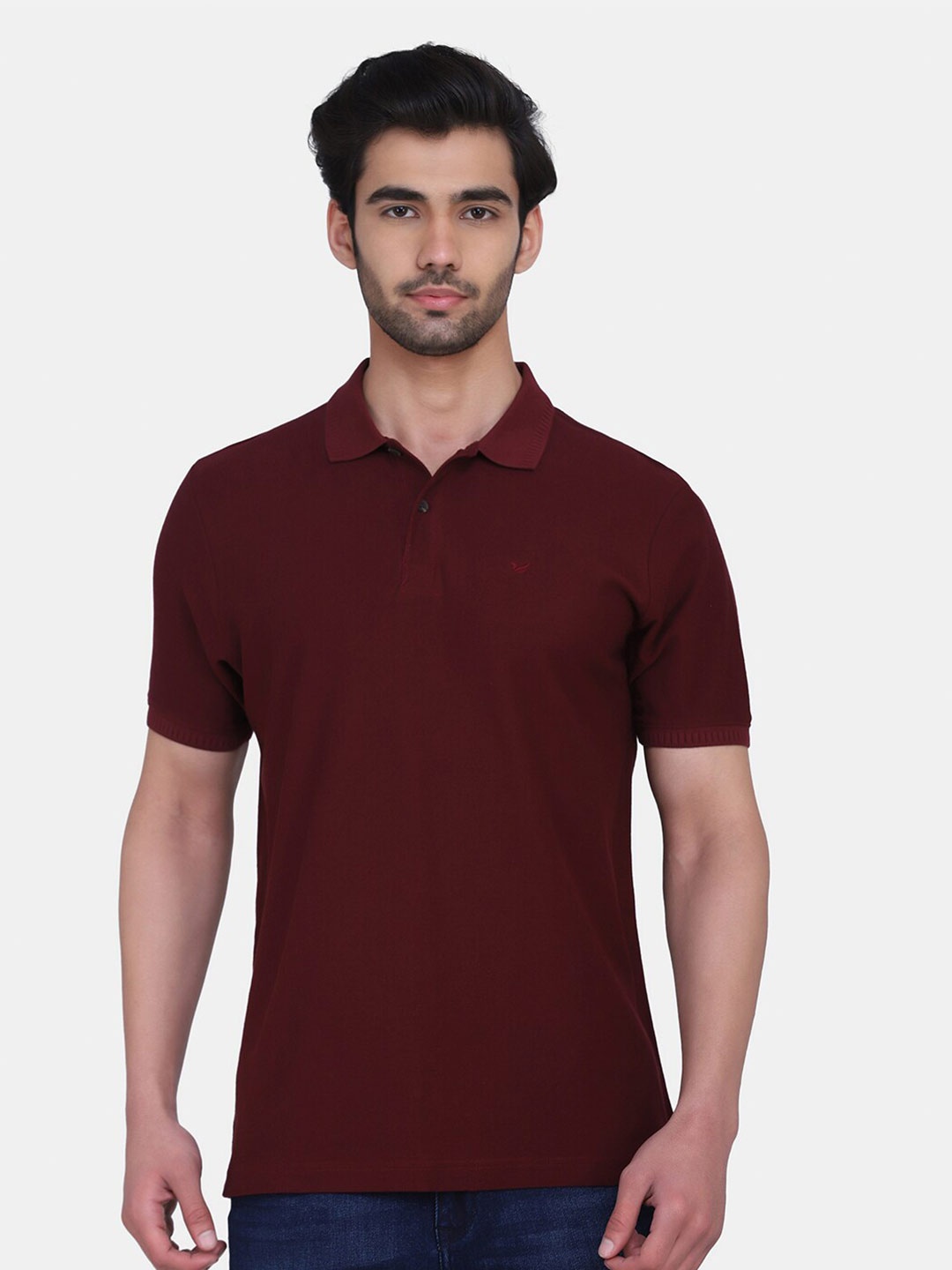 

Blackberrys Men Maroon Polo Collar Slim Fit Cotton T-shirt