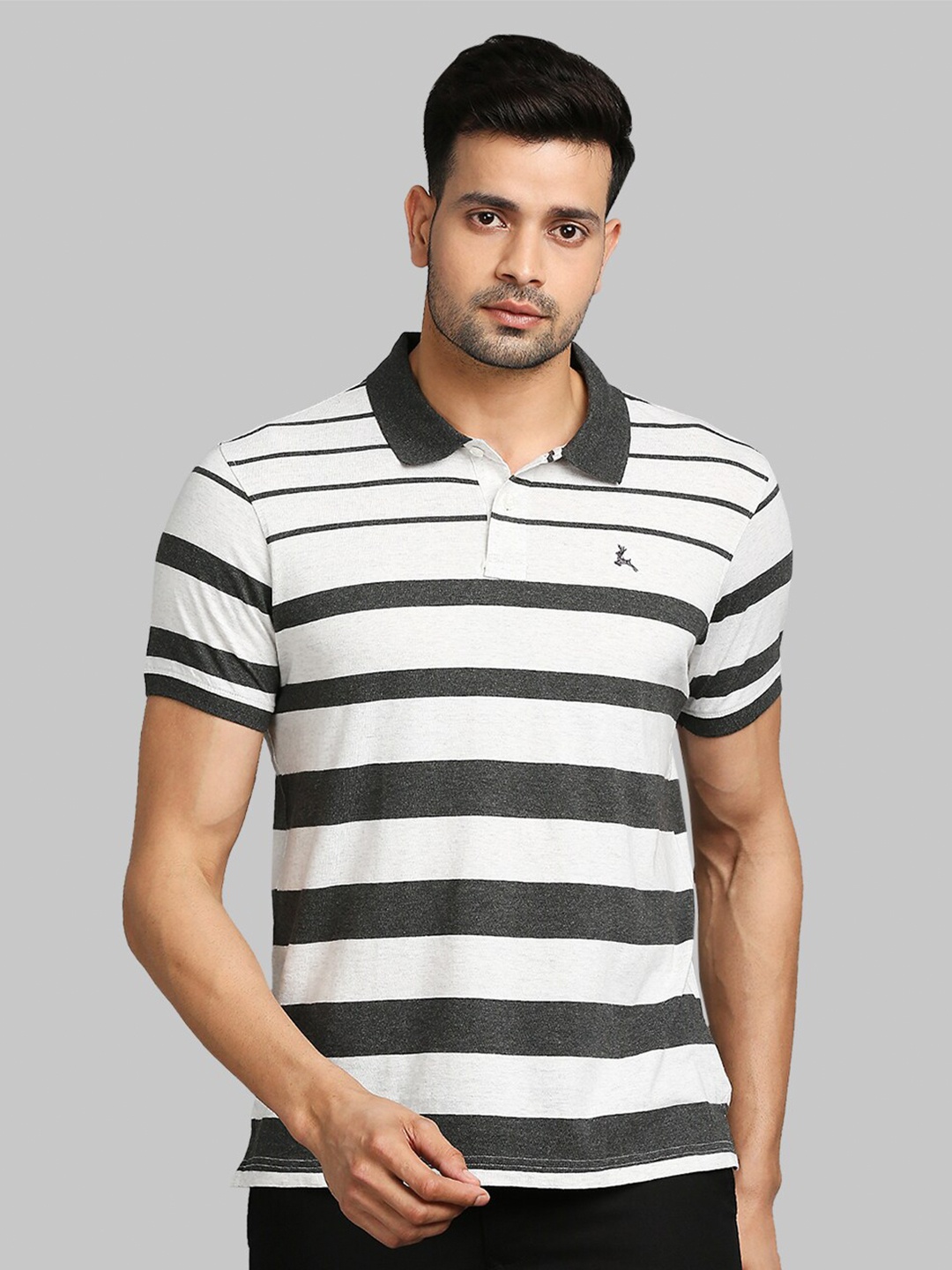 

Parx Men Grey & White Striped Polo Collar T-shirt