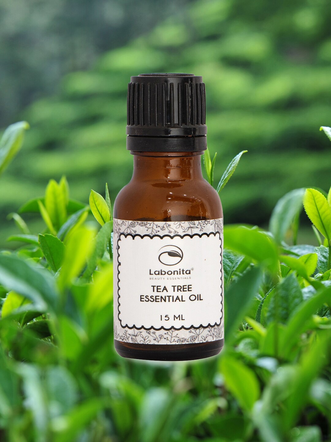 

Labonita Set of 3 Tea Tree Essential Oil 15 ml each, Off white