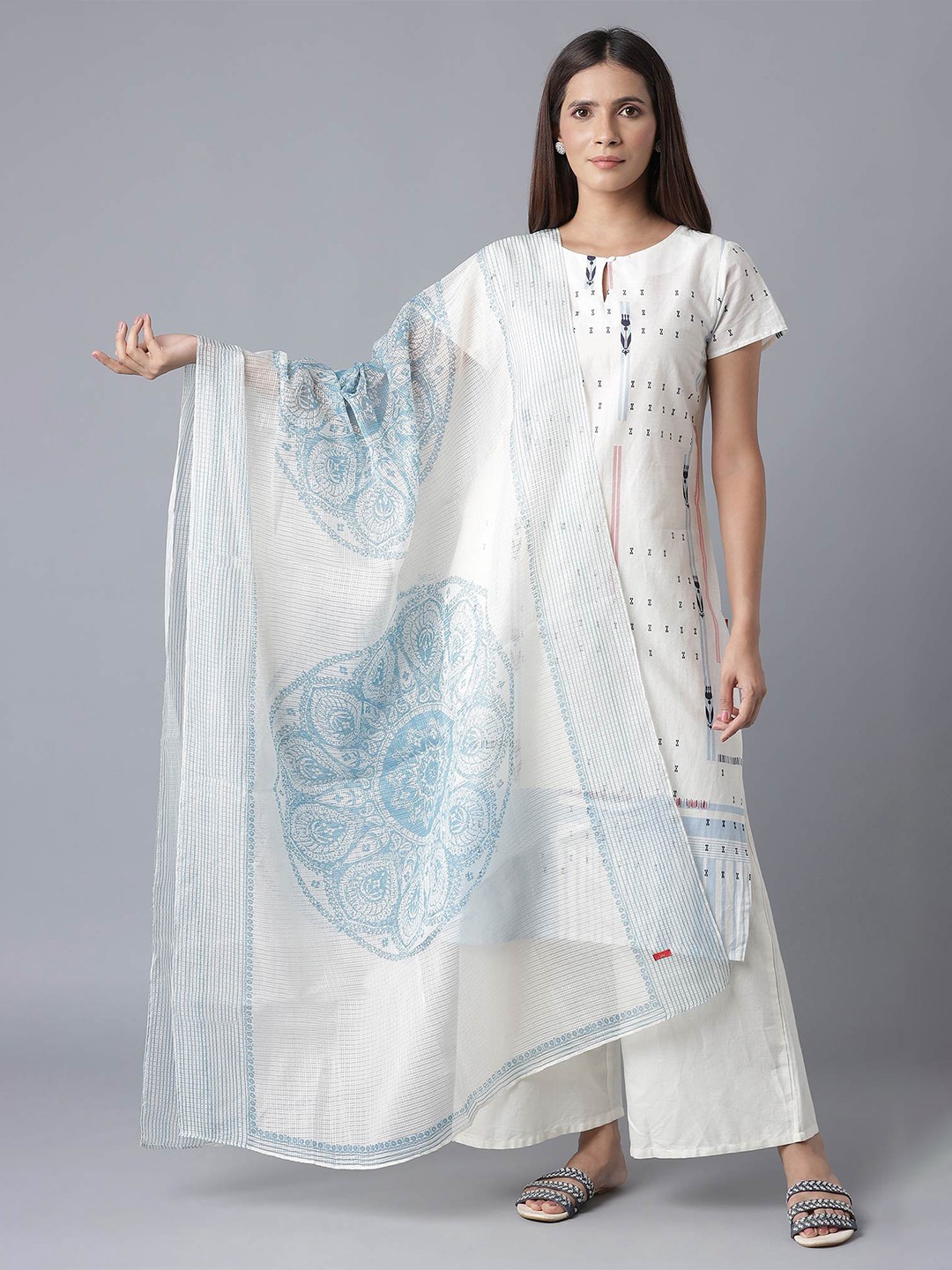 

W Blue & White Ethnic Motifs Printed Organza Dupatta