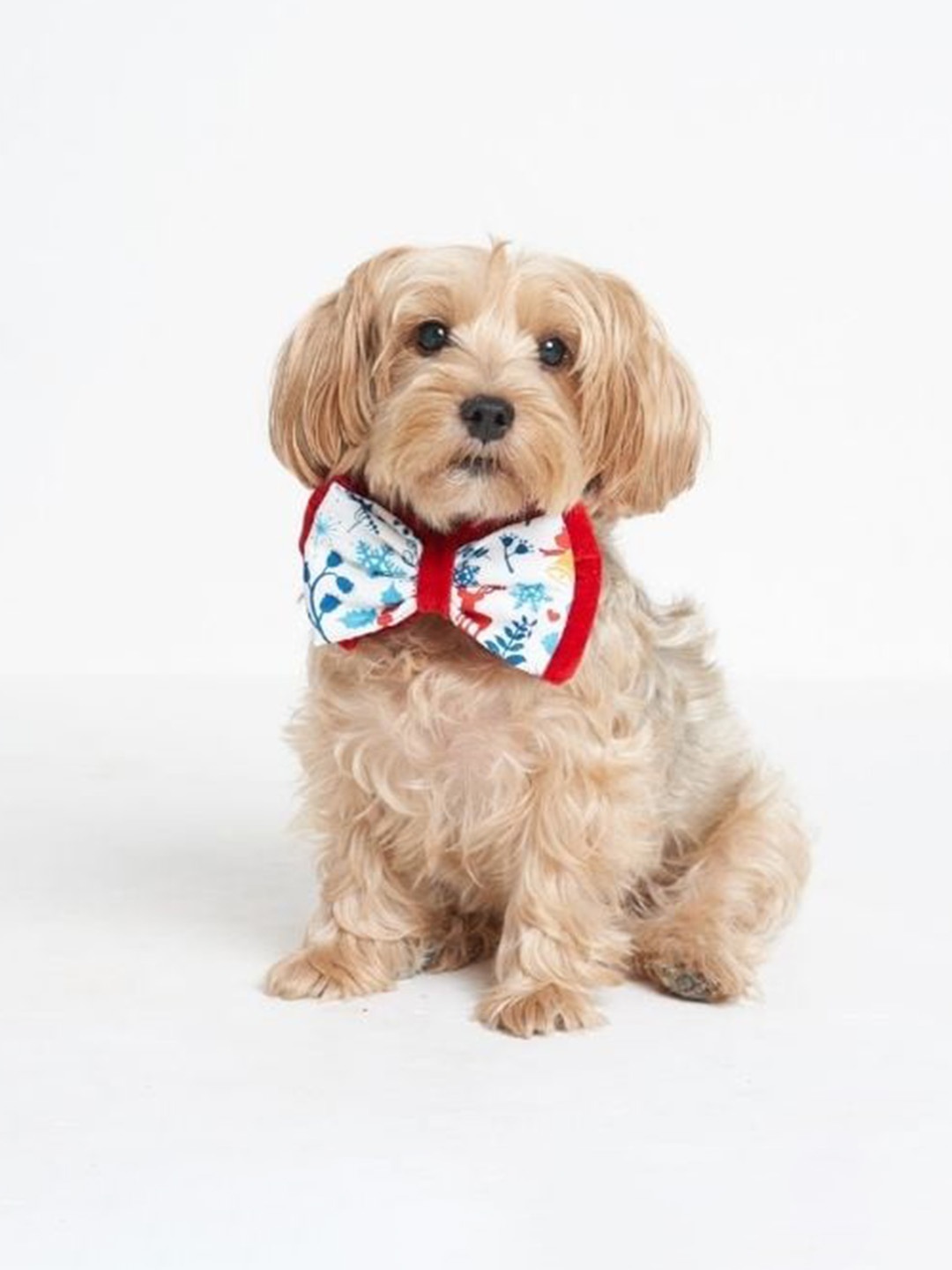 

thepawpstarco White & Red The Christmas Pet Bow Tie