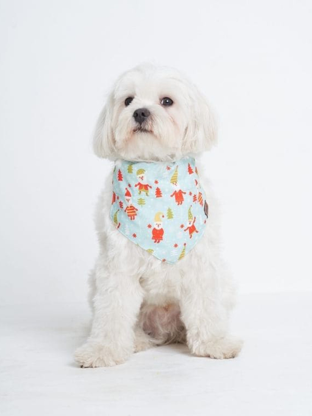 

thepawpstarco Blue & Red Printed Dog Bandana Scarf