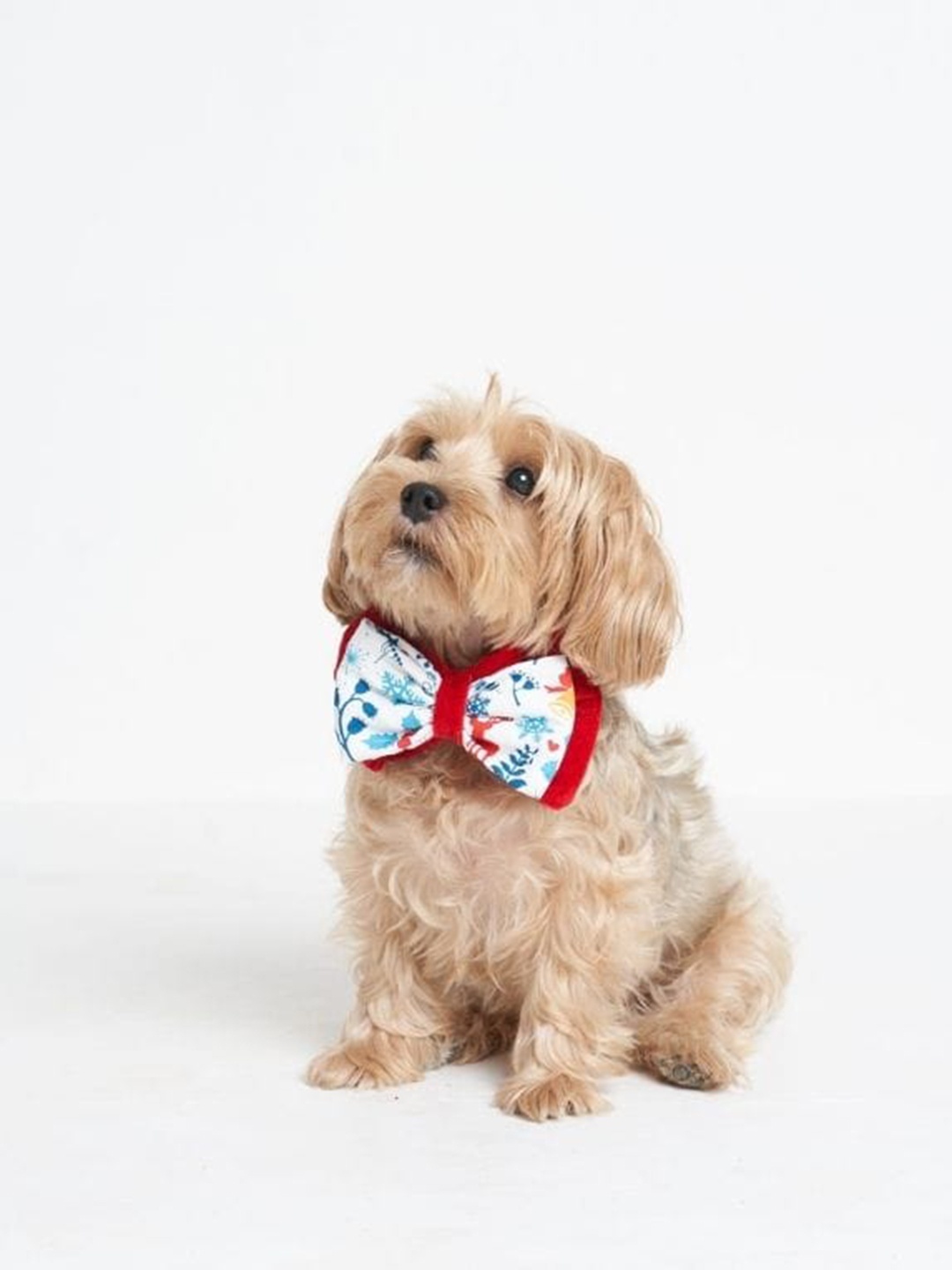 

thepawpstarco White & Red Self Design Dog Bow tie