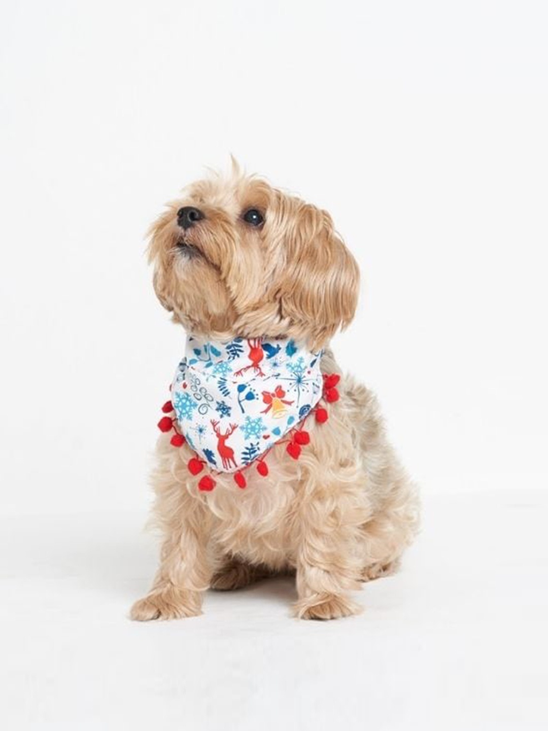 

thepawpstarco White & Blue The Christmas Pet Bandana