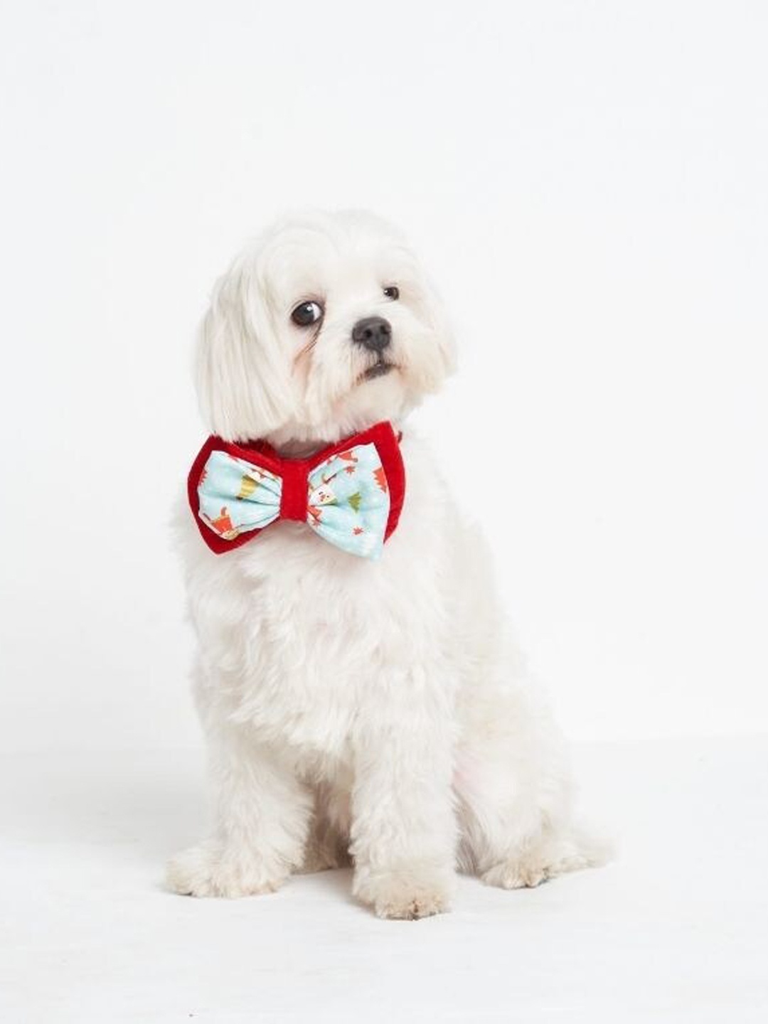 

thepawpstarco Blue & Red The Santa Claus Pet Bow Tie