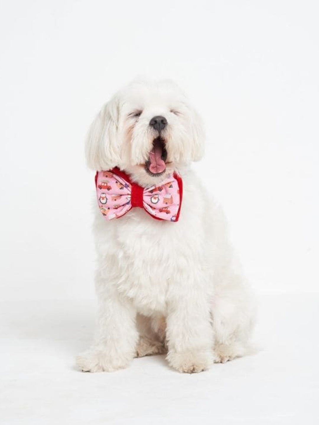 

thepawpstarco Kids Pink & Red Printed Cotton Snow Man Bow Tie