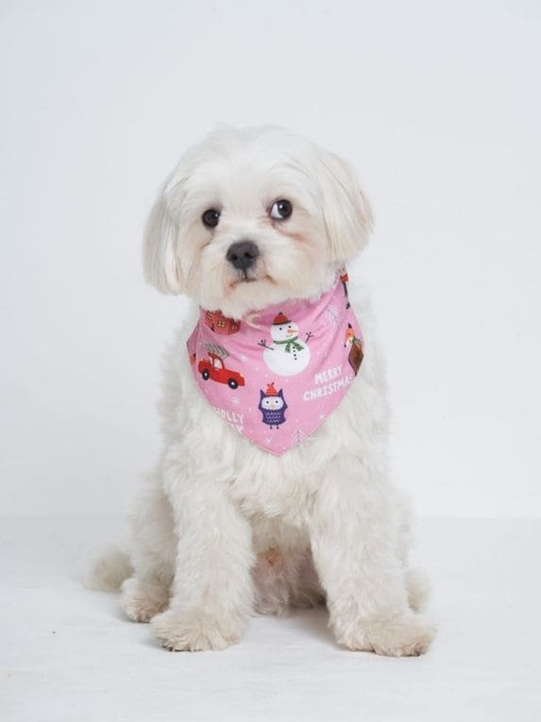

thepawpstarco Pink The Snow Man Printed Bandana