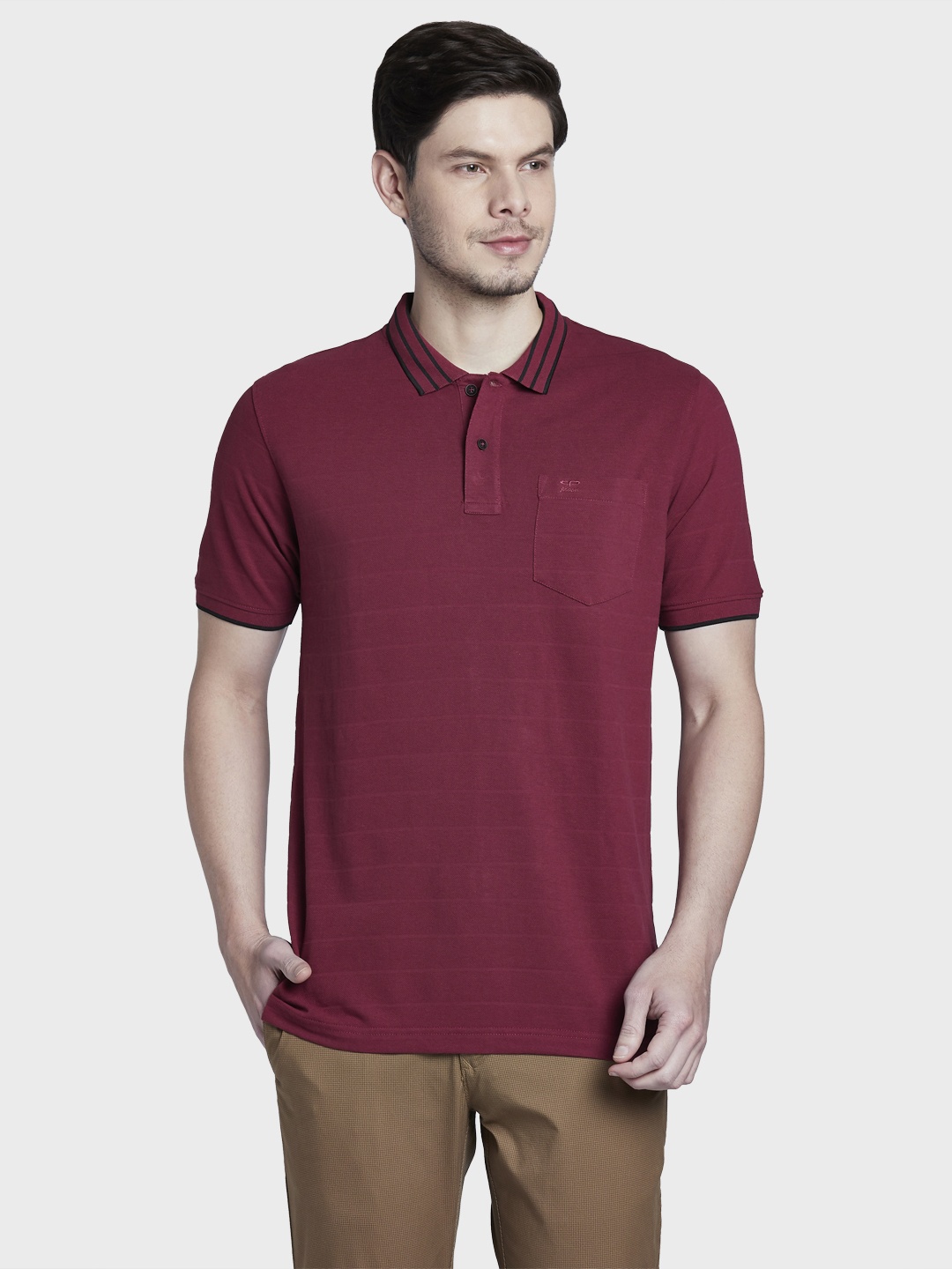 

ColorPlus Men Maroon Solid Polo Collar T-shirt