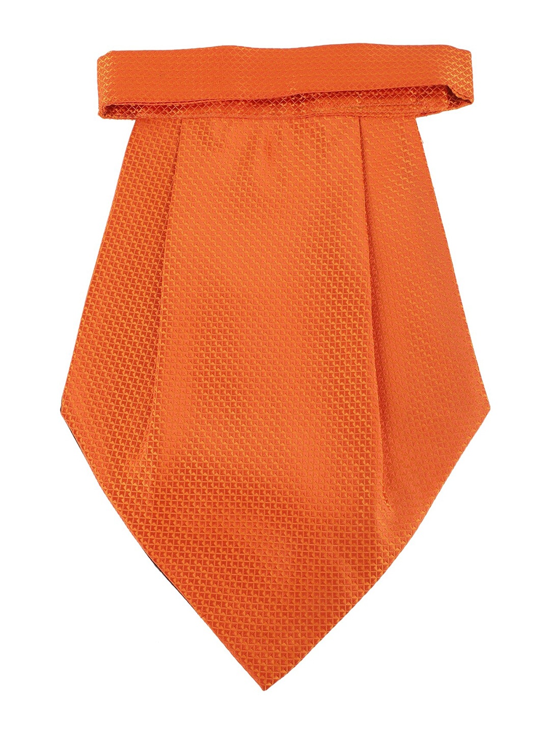 

Alvaro Castagnino Men Orange Printed Cravat