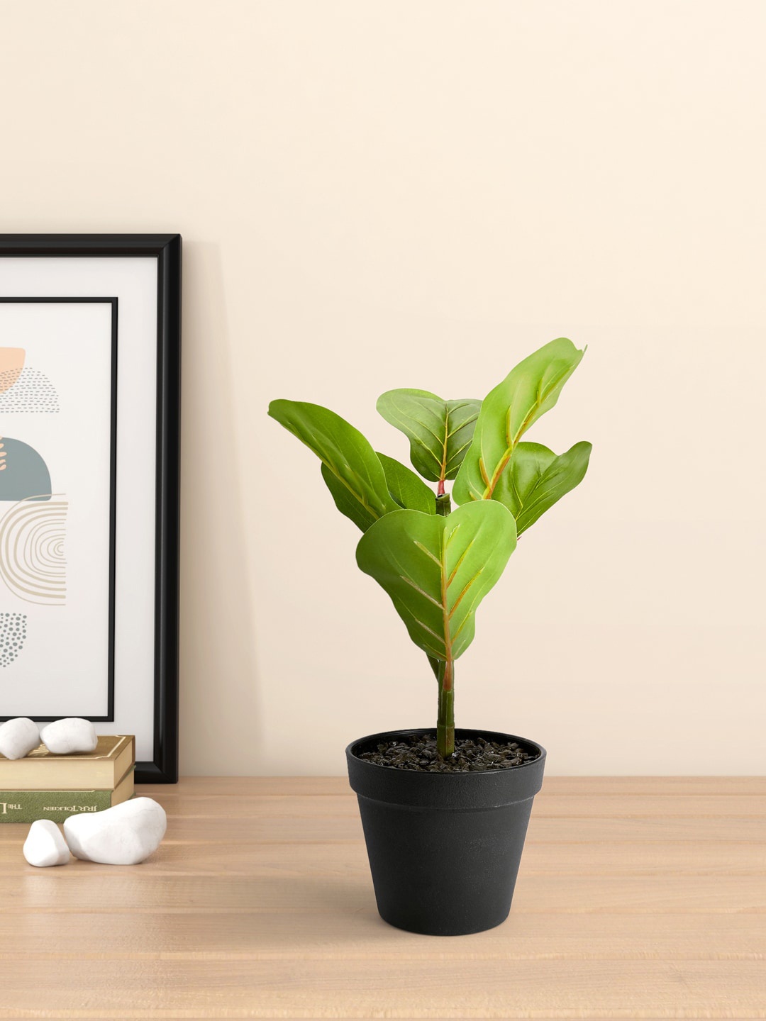 

Living scapes by Pantaloons Green & Black Artificial Flowers and Plants