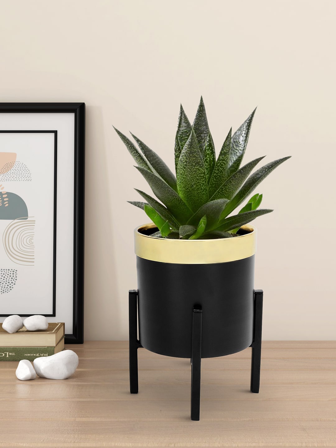 

Living scapes by Pantaloons Gold-Toned & Black Solid Metal Planter with Stand