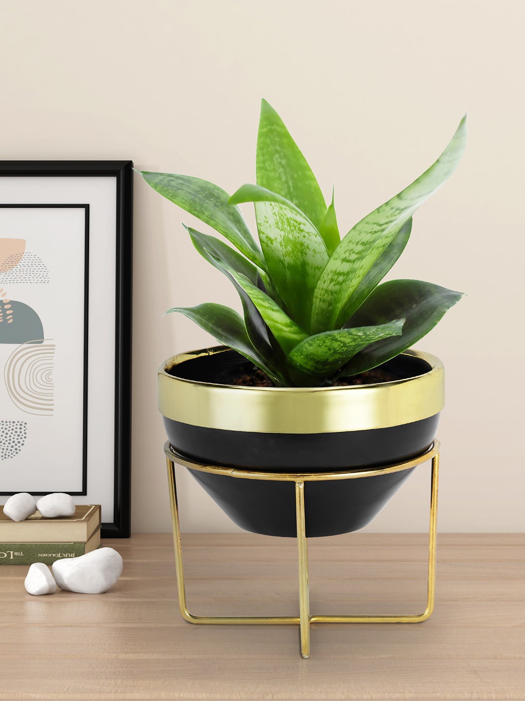 

Living scapes by Pantaloons Gold-Toned & Black Metal Planter With Stand
