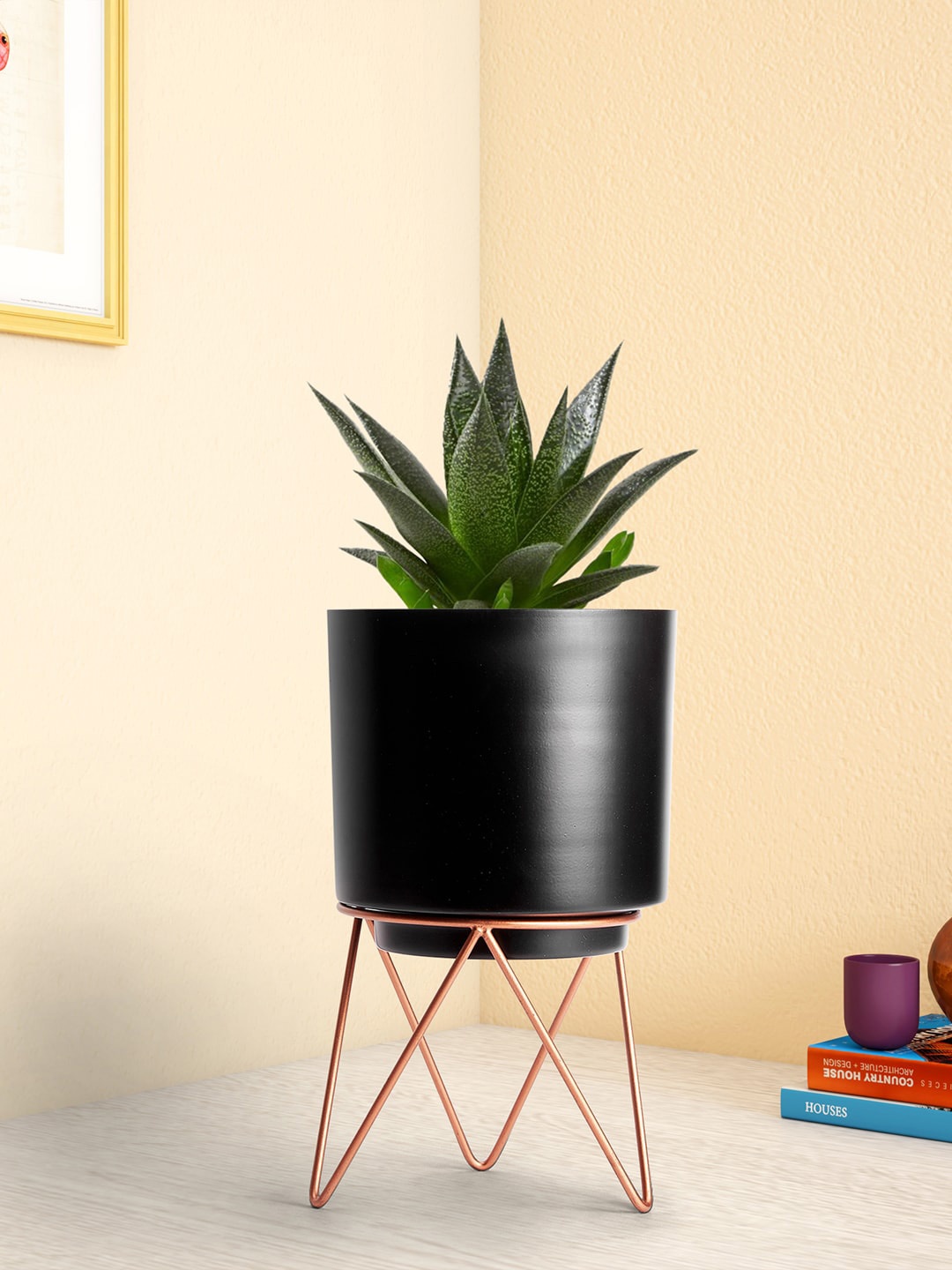 

Living scapes by Pantaloons Black Solid Planters