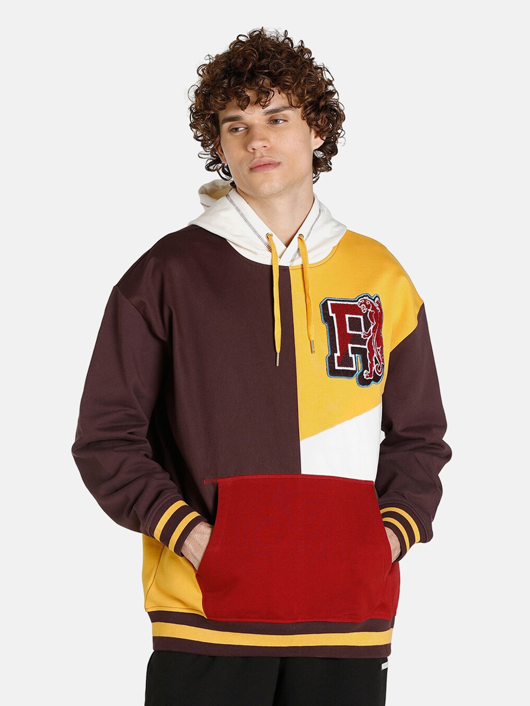

Puma Men Brown Colourblocked Hooded Sweatshirt