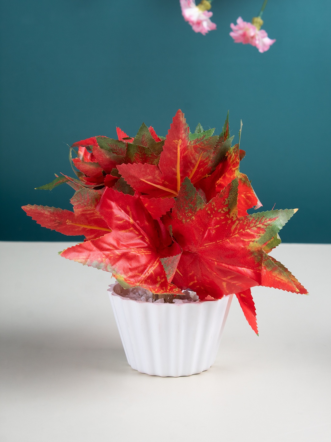 

MARKET99 Red Mini Cadian & Coloured Mini Ficus Artificial Plants With Pot