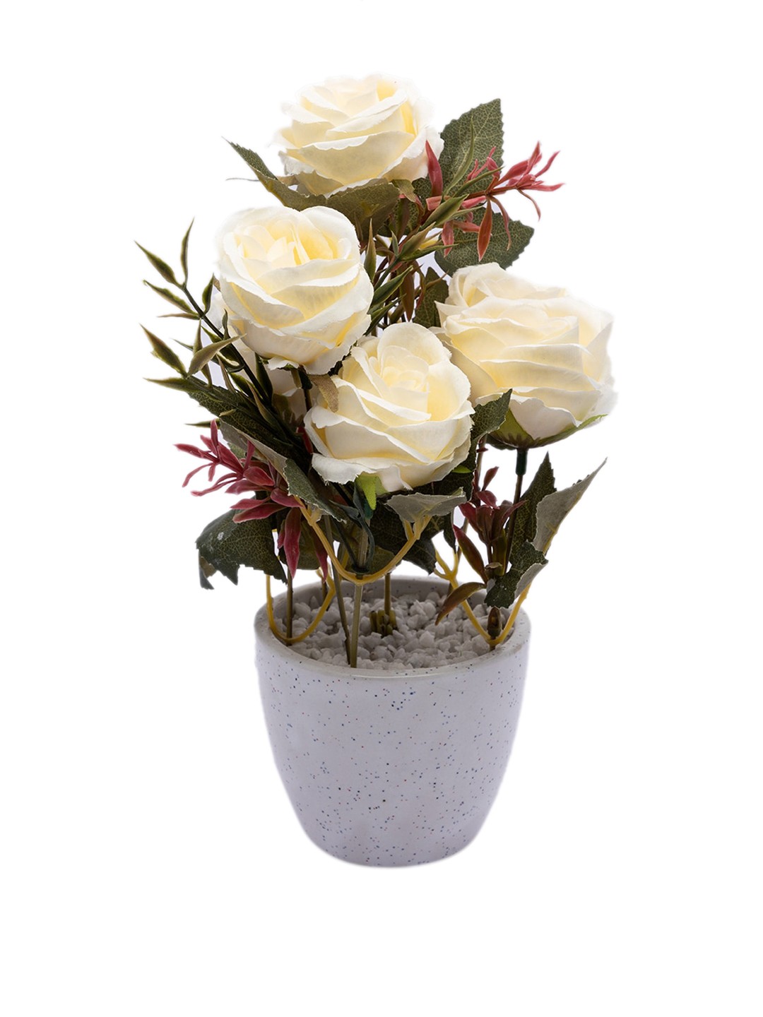 

MARKET99 White Dry Rose Arrangement Hr Pot